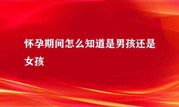 怀孕期间怎么知道是男孩还是女孩