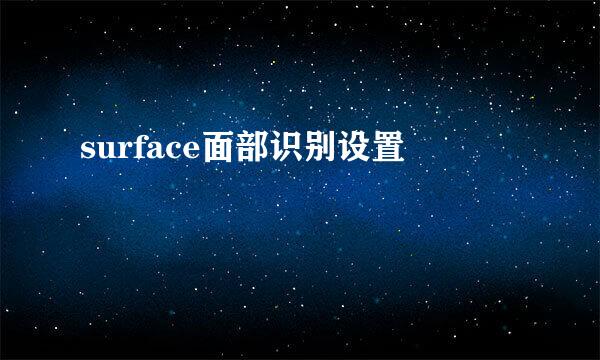 surface面部识别设置