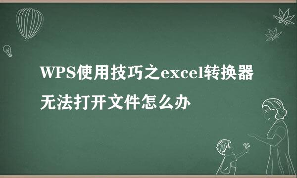 WPS使用技巧之excel转换器无法打开文件怎么办