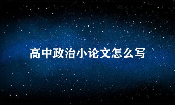 高中政治小论文怎么写