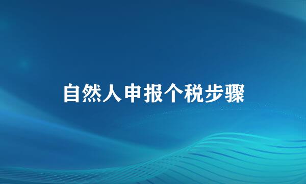 自然人申报个税步骤