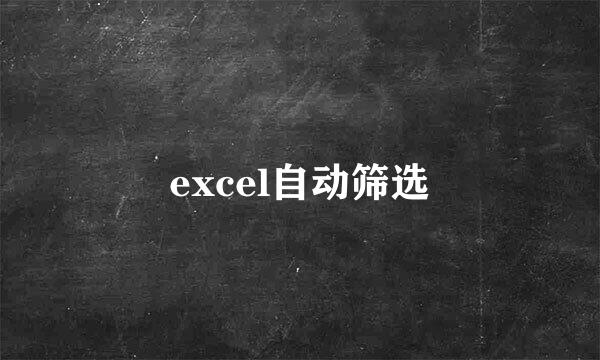 excel自动筛选