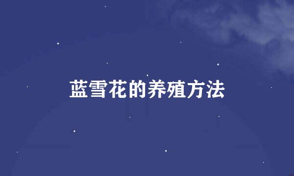 蓝雪花的养殖方法