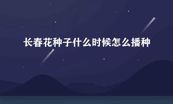长春花种子什么时候怎么播种