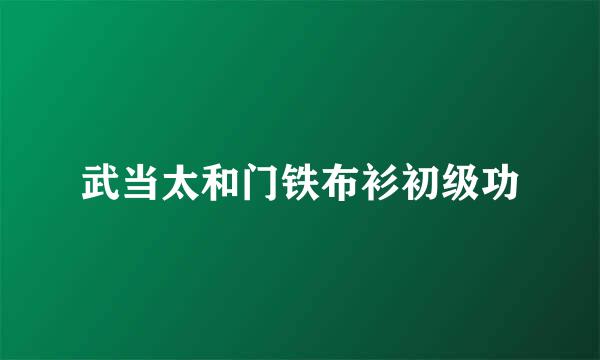 武当太和门铁布衫初级功