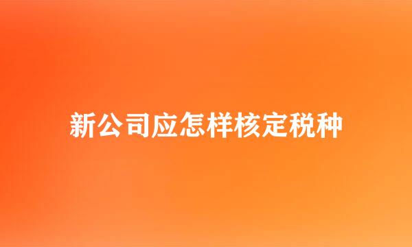新公司应怎样核定税种