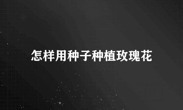 怎样用种子种植玫瑰花