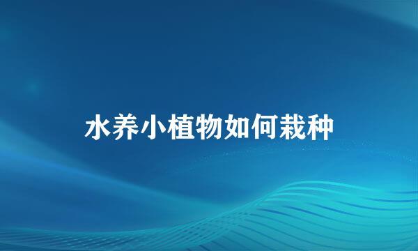 水养小植物如何栽种