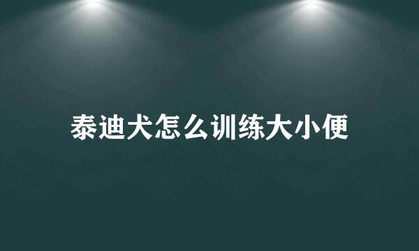 泰迪犬怎么训练大小便