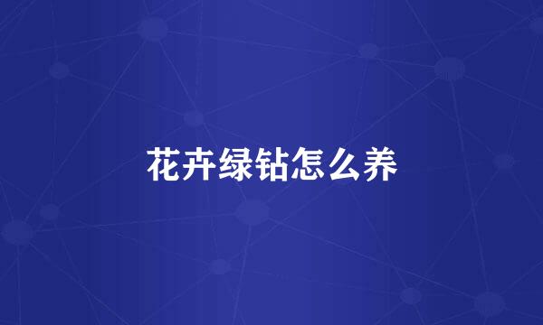 花卉绿钻怎么养