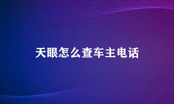 天眼怎么查车主电话