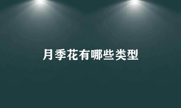 月季花有哪些类型