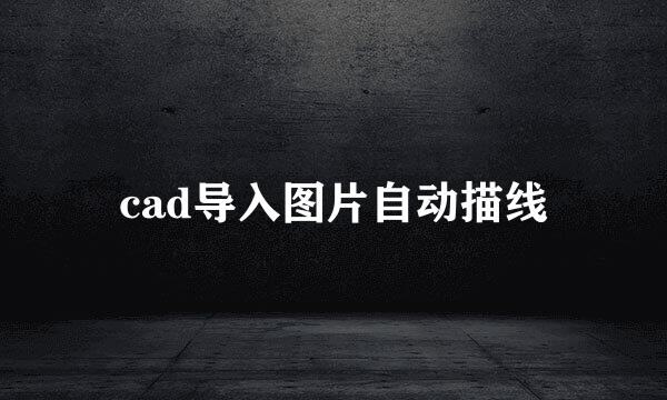 cad导入图片自动描线