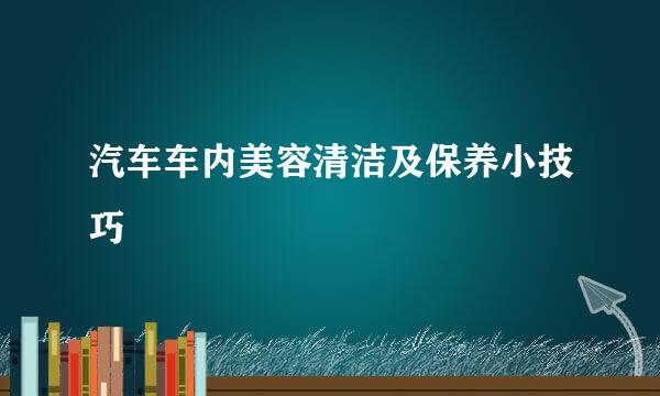 汽车车内美容清洁及保养小技巧