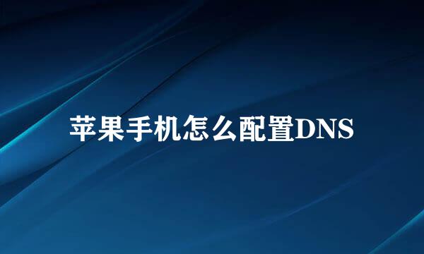 苹果手机怎么配置DNS