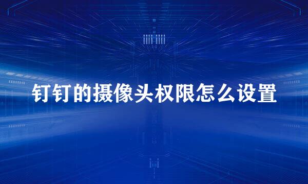 钉钉的摄像头权限怎么设置