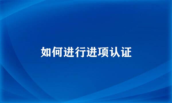 如何进行进项认证
