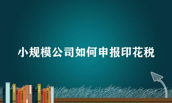 小规模公司如何申报印花税
