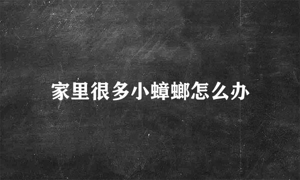 家里很多小蟑螂怎么办