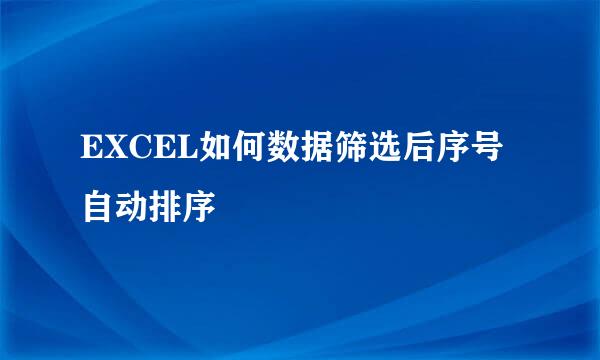 EXCEL如何数据筛选后序号自动排序