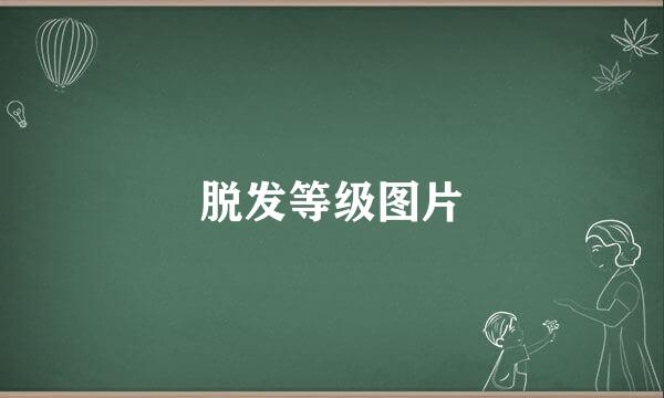 脱发等级图片