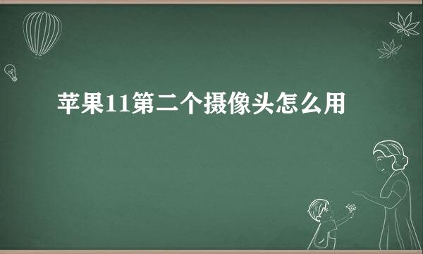 苹果11第二个摄像头怎么用
