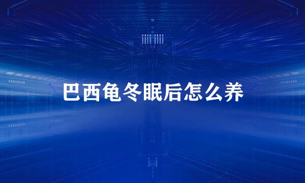 巴西龟冬眠后怎么养