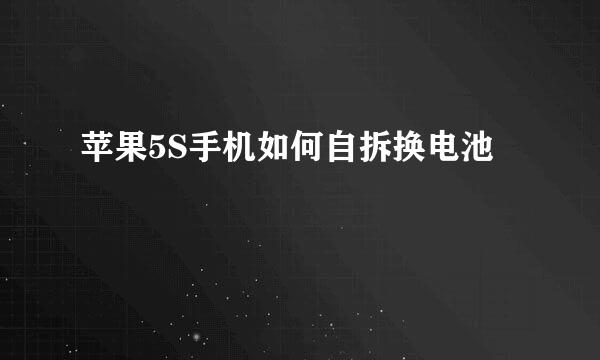 苹果5S手机如何自拆换电池