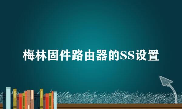 梅林固件路由器的SS设置