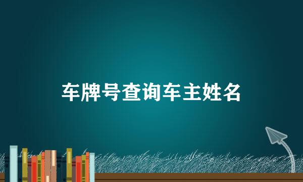 车牌号查询车主姓名