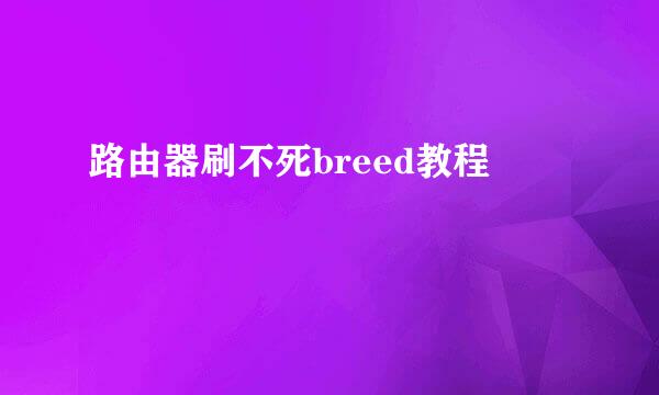 路由器刷不死breed教程