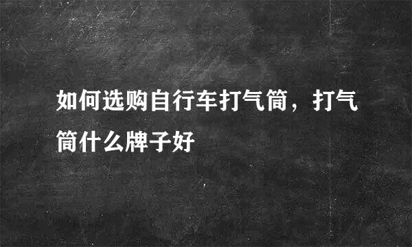 如何选购自行车打气筒，打气筒什么牌子好