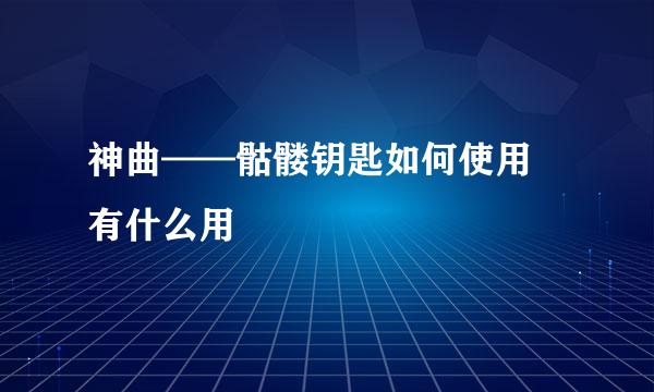 神曲——骷髅钥匙如何使用 有什么用