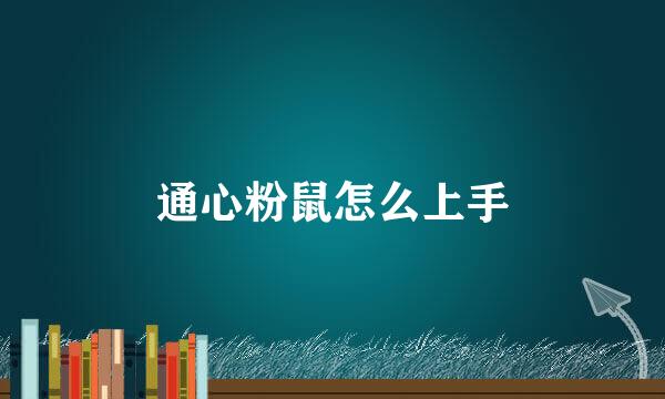 通心粉鼠怎么上手