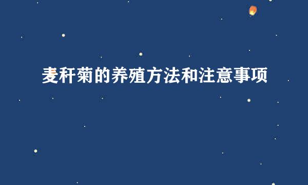 麦秆菊的养殖方法和注意事项