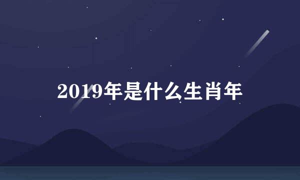 2019年是什么生肖年
