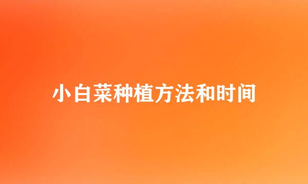 小白菜种植方法和时间