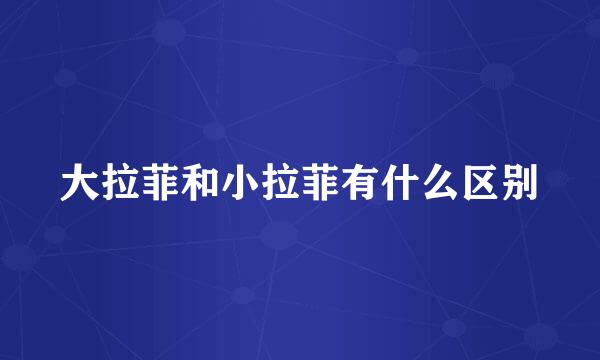 大拉菲和小拉菲有什么区别