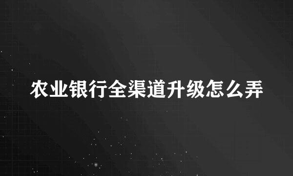 农业银行全渠道升级怎么弄