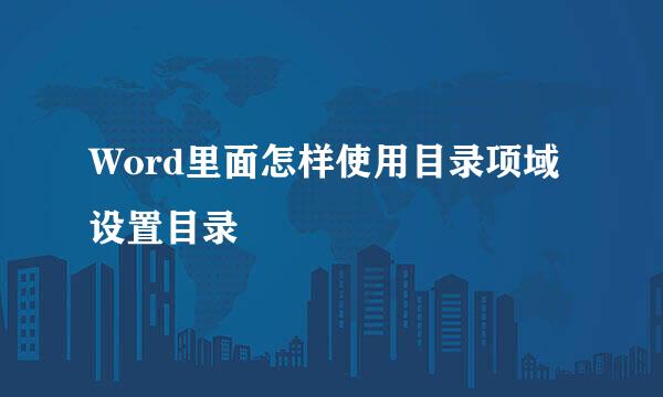 Word里面怎样使用目录项域设置目录