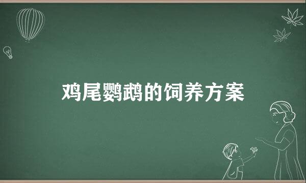 鸡尾鹦鹉的饲养方案