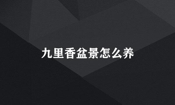 九里香盆景怎么养