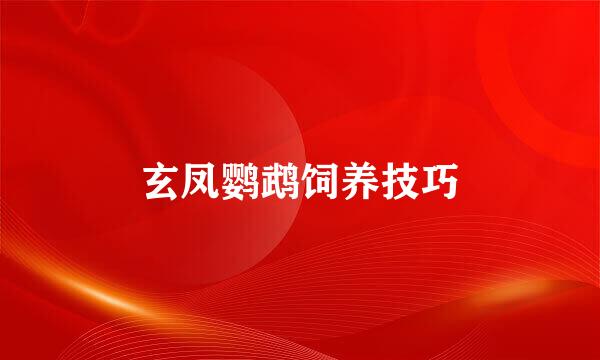 玄凤鹦鹉饲养技巧