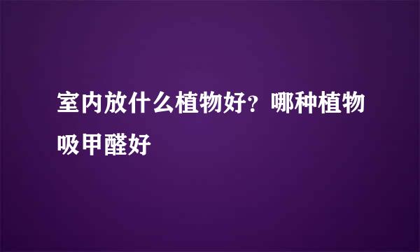 室内放什么植物好？哪种植物吸甲醛好