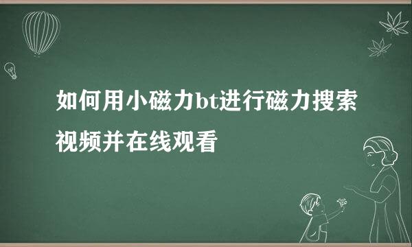 如何用小磁力bt进行磁力搜索视频并在线观看