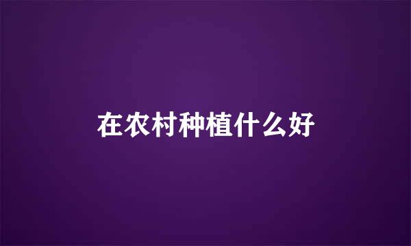 在农村种植什么好