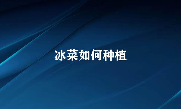 冰菜如何种植