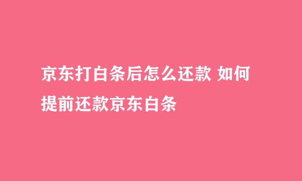 京东打白条后怎么还款 如何提前还款京东白条