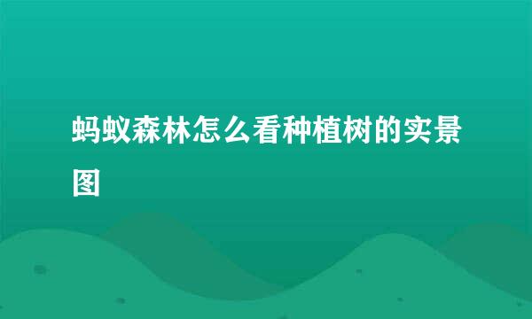 蚂蚁森林怎么看种植树的实景图