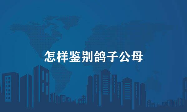 怎样鉴别鸽子公母